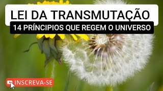 Transmutação de Energia  leis que regem o Universo leisuniversais transformation [upl. by Katusha]