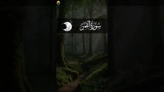 Surah qamar سورةالقمرIslamic shorts youtubeshorts Arabic YouTube [upl. by Helli]