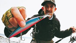 The Only Colour They Wanted Lure Fishing for Bass in North Devon [upl. by Clementas]