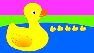 5 petits canards  La chanson pour enfants  adaptation originale [upl. by Daniel32]