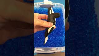 Orca Toy in Orbeez [upl. by Rida]