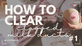 Clogged Milk Ducts  5 TIPS  LIVFORLU [upl. by Shanly]