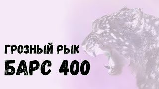 Обзор СГУ Барс 400 со стробами Элект Квазар4 [upl. by Nehemiah253]