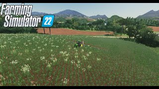 APLICANDO ERBICIDA NAS FAZENDA FARMING SIMULATOR S22  EP 43 [upl. by Atnwahsal]