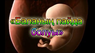 Ғажайып видео Бала калай пайда болады [upl. by Anallij807]