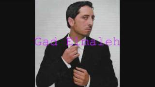 Gad Elmaleh  quotJsuis pas un bouffonquot  Lautre cest moi [upl. by Klayman]