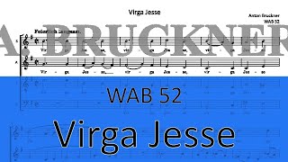 Bruckner WAB 52 Virga Jesse [upl. by Nosnarb]