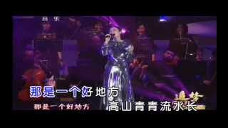 王菲 初戀的地方 追夢 鄧麗君60週年紀念演唱會 mp4 [upl. by Karlotte]