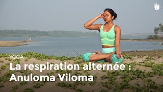 Apprendre la variante Anuloma Viloma de la respiration alternée  Apprendre le Yoga [upl. by Nadroj]