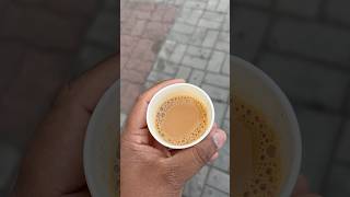 Rajwadi chai RS 40 😳 shorts shortvideo shortsvideo viralvideo nagpuri [upl. by Turpin436]