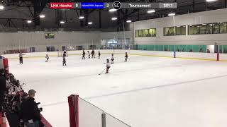 LHA 9U Black  Hyland Hills Jaguars [upl. by Kemble]