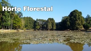 Onde Correr Horto Florestal  São Paulo  Zona Norte [upl. by Hercules]