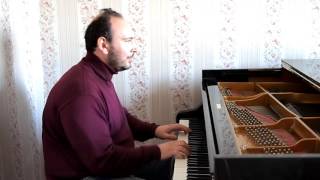 On The Beach Chris Rea  piano cover by Dionis Kharlampidi [upl. by Lihcox558]