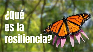 ¿Qué es la resiliencia [upl. by Bonilla866]