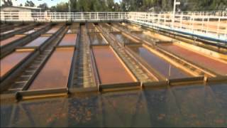 WSO Coagulation Flocculation amp Sedimentation DVD Preview [upl. by Bail]