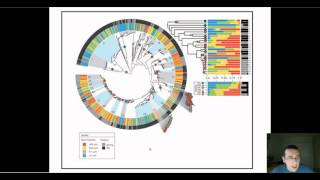 Systematics [upl. by Neve326]