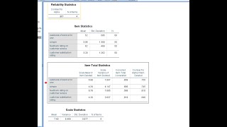 Cronbach Alpha reliability test using SPSS in Amharic [upl. by Herrick]