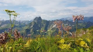 Steinbocktour im Allgäu Juli 2018 [upl. by Solberg]