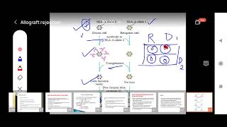 Allograft Rejection  Compatibility test  Graft Vs Host Reaction [upl. by Siravrat]