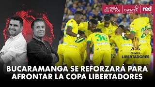 Bucaramanga se reforzará para afrontar la Copa Libertadores  El Pulso del Fútbol [upl. by Rehpetsirhc687]