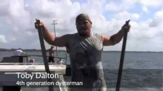 Apalachicola oystermen fear spill [upl. by Nyliak172]