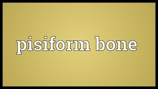 Pisiform bone Meaning [upl. by Drugge981]