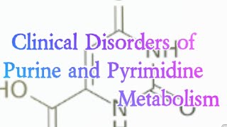 Clinical Disorders of Purine and Pyrimidine Metabolism Biochemistry [upl. by Einittirb]