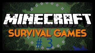 Minecraft Hungergames 3 Auf der Flucht  Sicht David HD [upl. by Namrac412]