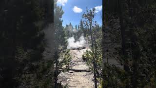 Arch Steam Vent  Norris Geyser Basin yellowstonenationalpark geothermalwonders steamvent [upl. by Meredeth361]