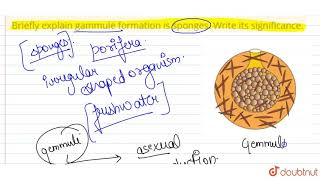 Briefly explain gemmule formation is sponges Write its significance  12  REPRODUCTION IN ORG [upl. by Verner]