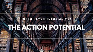 The Action Potential Intro Psych Tutorial 24 [upl. by Enilegnave857]