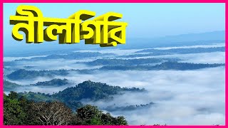 মেঘের রাজ্য নীলগিরি  Bandarban City Tour Plan  Nilgiri  Nilachal  Bandarban Day Tour Plan [upl. by Lesirg]