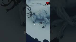 Initial spawn RARE Reindeer  theHunter Call of the Wild [upl. by Nnaharas309]