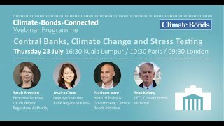 Webinar  Central banks Climate change and Stress Testing [upl. by Hallie]