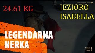 Red Dead Redemption 2  Legendarna Nerka [upl. by Ayatnwahs]