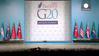 Cats invade G20 summit stage in feline security breach [upl. by Enisaj879]