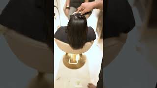 Botoliss Treatment Before amp After ✨haircare hair silkyhair hairprotection hairtransformation [upl. by Dunton]