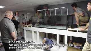 Checkin out Pauls 240gallon Custom Reef Tank Build Part I [upl. by Judy]