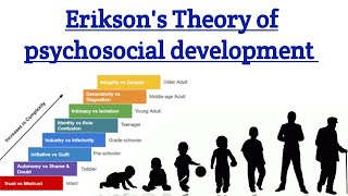 Eriksons theory of Psychosocial Development psychology 8 stages of psychosocial theory in hindi [upl. by Redwine393]