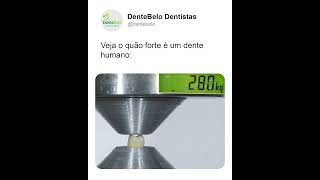 O quão forte é o dente humano  DenteBelo [upl. by Enoval]