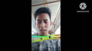 Unboxing Lure SaltWaterStickBait 50gr amp Popper Baracuda 60gr from AnyerLure [upl. by Drucill]