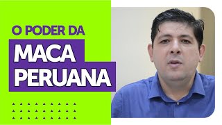 O poder da Maca Peruana  Dr Juliano Teles [upl. by Aitropal985]