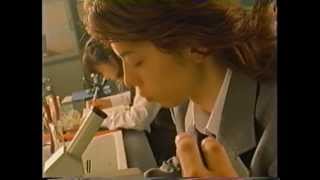 Clearasil フェイスウォッシュ CM1999 [upl. by Charlot]