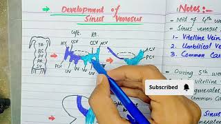 Development of sinus venosus  CvS embryology [upl. by Cela]