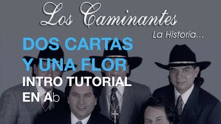 Dos cartas y una flor  Intro tutorial [upl. by Johnathon337]