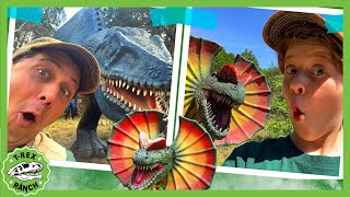 Park Ranger Aaron Vs Park Ranger LB Dinosaur Hide and Seek  TRex Ranch Dinosaur Videos for Kids [upl. by Chariot303]