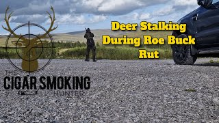 Deer Stalking During Roe Buck Rut [upl. by Templeton651]