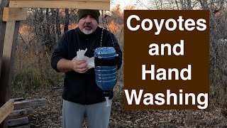 Coyotes amp DIY Handwash Station [upl. by Hanford]