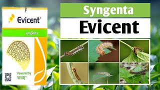 Evicent insecticide Evicent Syngenta insecticideEmamectin Benzoate 5 ww  Lufenuron 40ww WG [upl. by Tomi894]