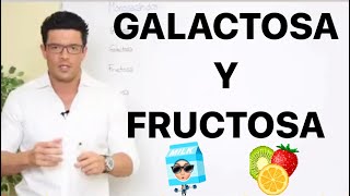 GLUCÓLISIS  GALACTOSA Y FRUCTOSA  Bioquímica [upl. by Notniv]